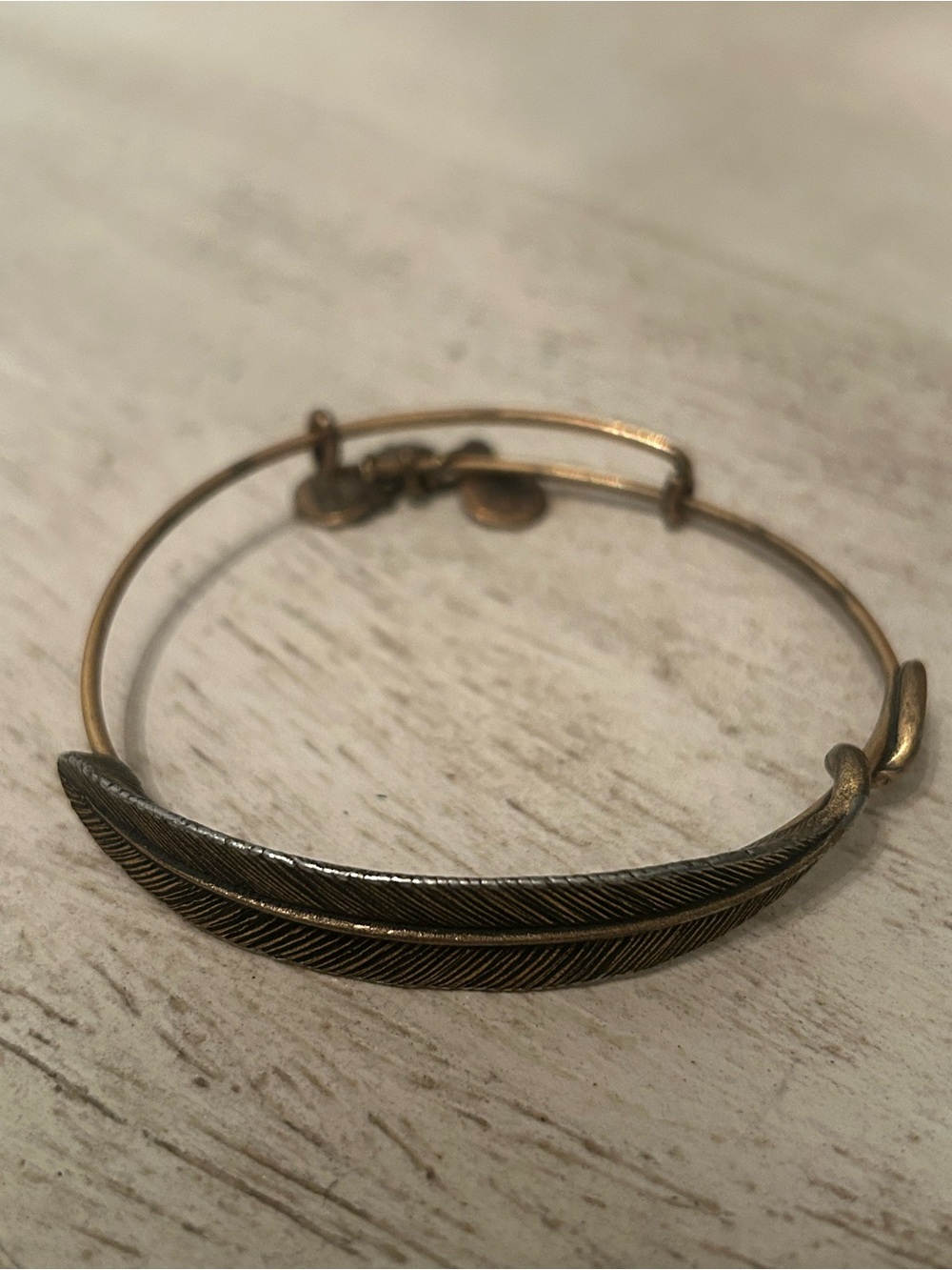 Alex and Ani feather bangle bracelet